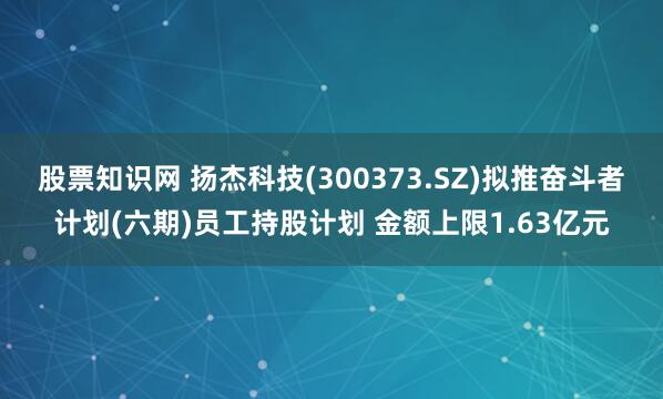 股票知识网 扬杰科技(300373.SZ)拟推奋斗者计划(六期)员工持股计划 金额上限1.63亿元